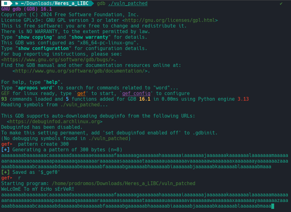 buffer_overflow_poc_1