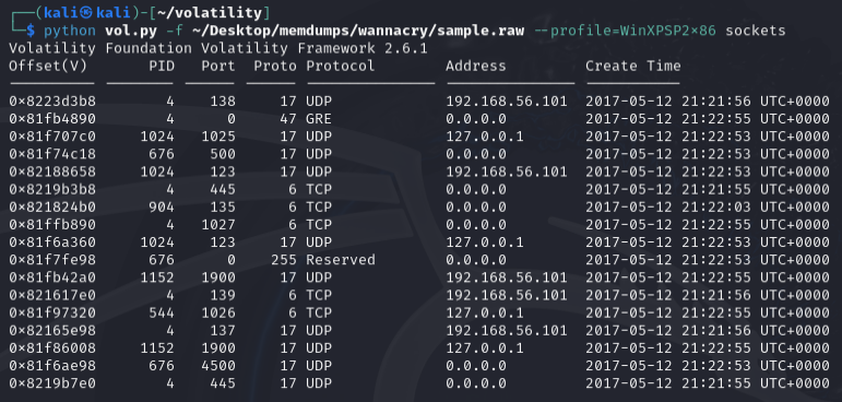 Volatility sockets plugin